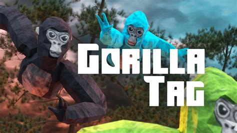 how to go back in time in gorilla tag oculus quest 2
