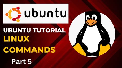 how to go back to main directory in linux