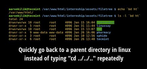 how to go back to the directory in linux