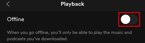 how to go offline on spotify ipad