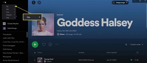 how to go offline on spotify pc