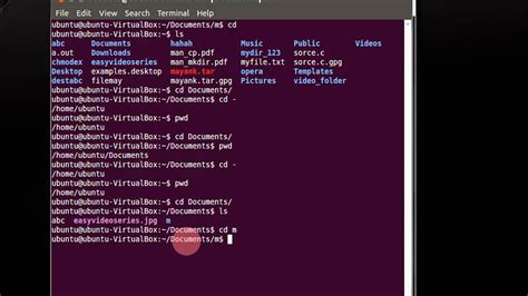how to go to main directory in linux