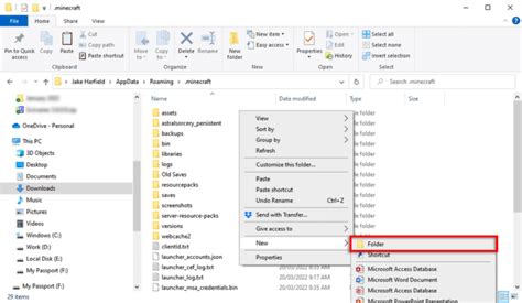 how to have different mod folder in minecraft