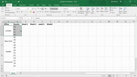 how to have multiple rows in an excel cell