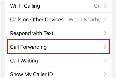 how to have second phone number on iphone