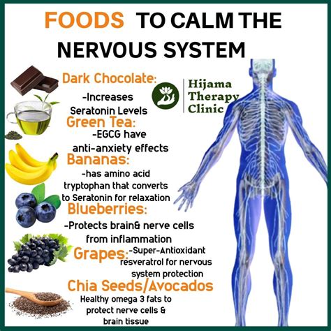 how to heal central nervous system