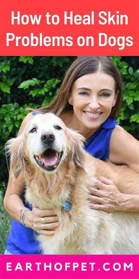 how to heal dog skin problems