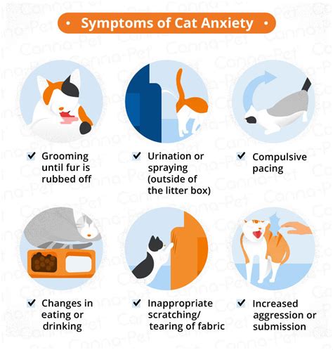 how to help cats with anxiety naturally