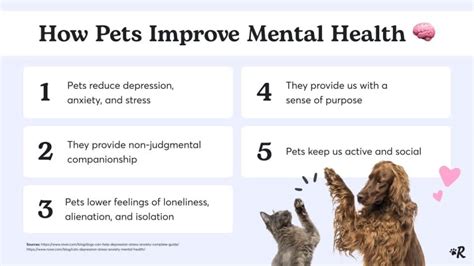 how to help cats with social anxiety