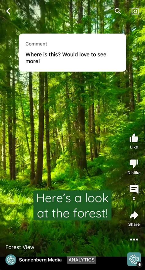 how to highlight a reply on youtube