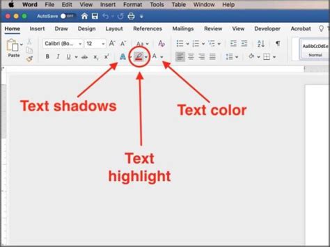 how to highlight all text in word