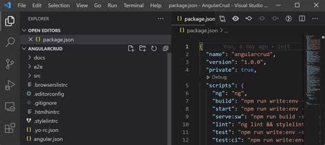 how to import angular project in visual studio code