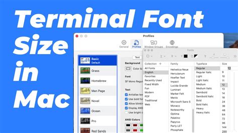 how to increase text size in mac terminal