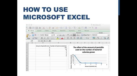 how to input data in excel for graph