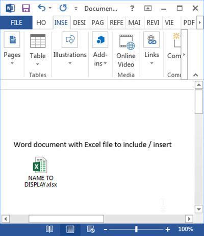 how to insert a excel file into word