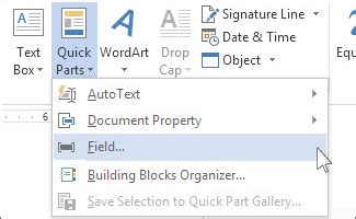 how to insert field in word document