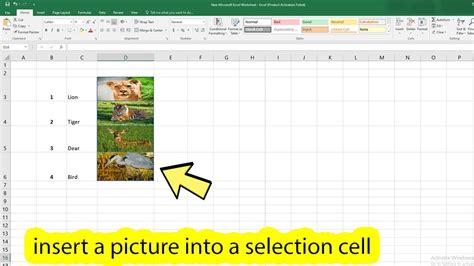 how to insert image in a cell excel