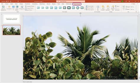 how to insert image with transparent background in powerpoint