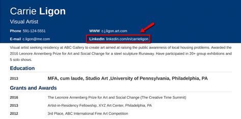 how to insert linkedin link in cv