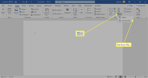 how to insert pdf file in word 2010