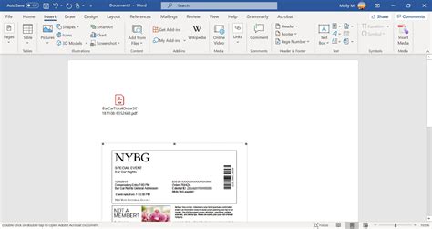 how to insert pdf in word as image