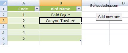how to insert rows automatically in excel vba