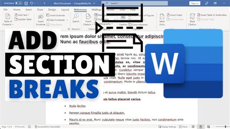 how to insert section break in word 2007