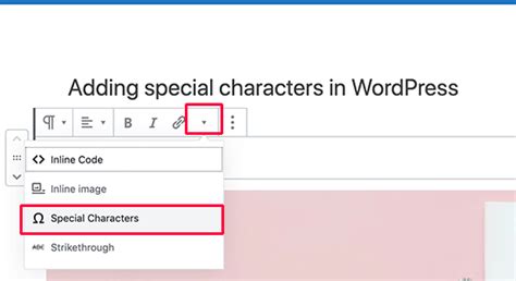 how to insert special characters in wordpress