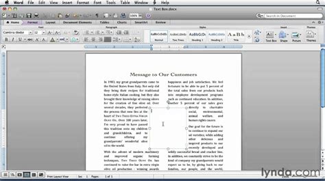 how to insert text box word mac