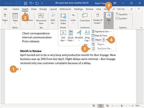 how to insert text from another document in microsoft word