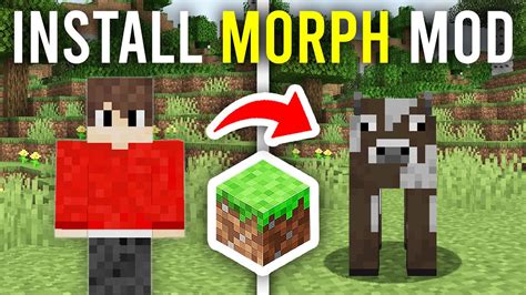 how to install morph mod in minecraft