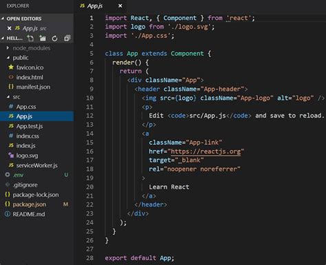how to install npm in visual studio code for react js