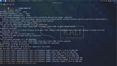how to install openvpn client on kali linux