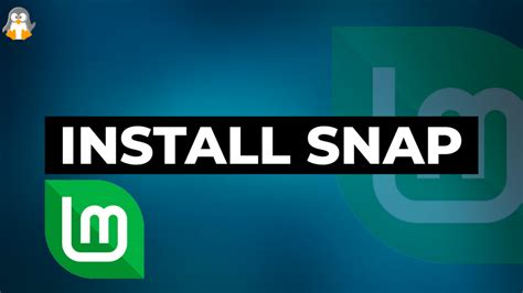 how to install snap store on linux mint