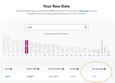 how to interpret raw data from 23andme