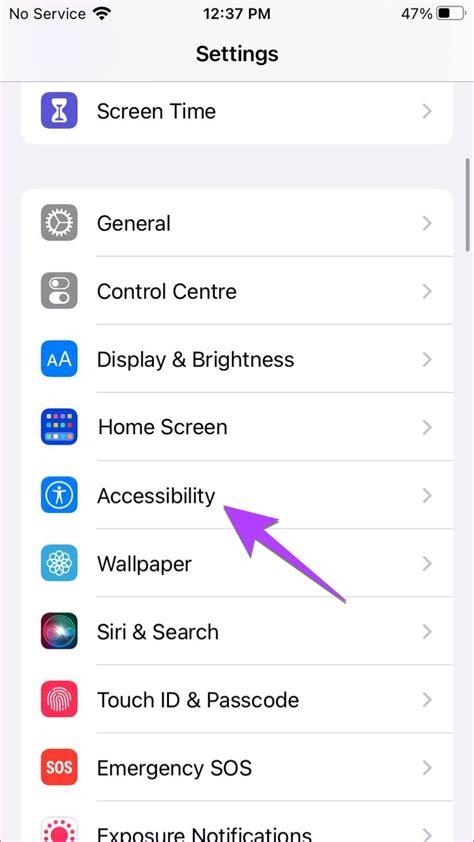 how to invert a picture on iphone settings