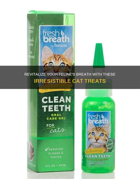 how to keep cat breath fresh
