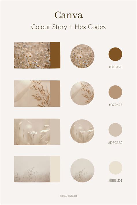 how to know the color code of an image in canva