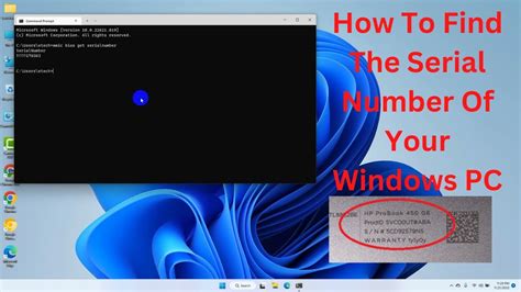how to know the serial number of pc