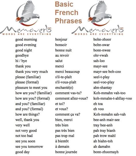 how to learn basic french words