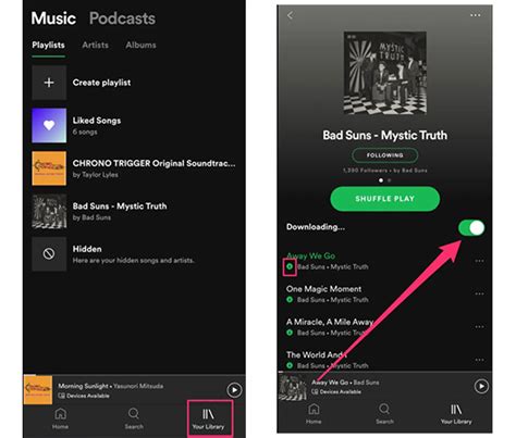 how to listen to spotify offline without premium on android
