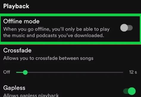 how to listen to spotify playlist without internet