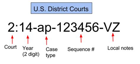 how to look up a criminal case number
