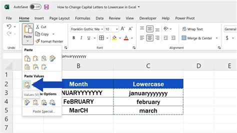 how to lower case all words in excel