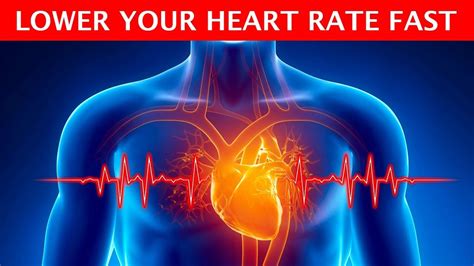 how to lower high pulse rate naturally