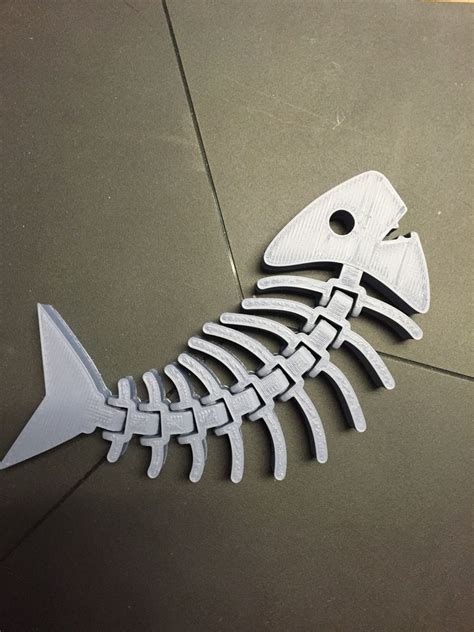how to make a fish skeleton model for school project