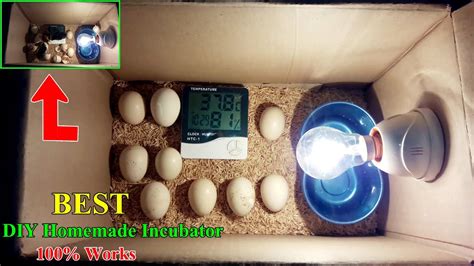 how to make a simple home made incubator