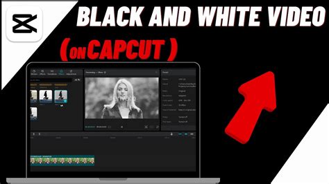 how to make a video black and white in capcut pc