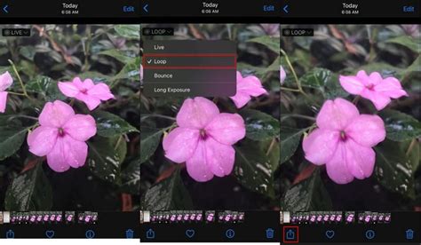 how to make a video loop on iphone camera roll