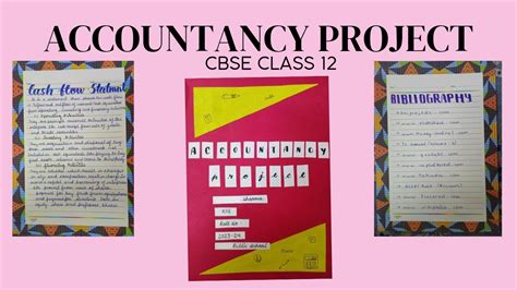 how to make accountancy project class 12
